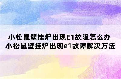 小松鼠壁挂炉出现E1故障怎么办 小松鼠壁挂炉出现e1故障解决方法